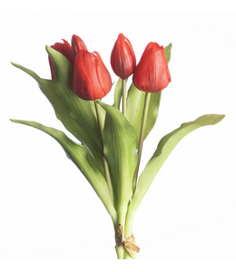 Real Touch Tulip Bundle x5 L31cm Red
