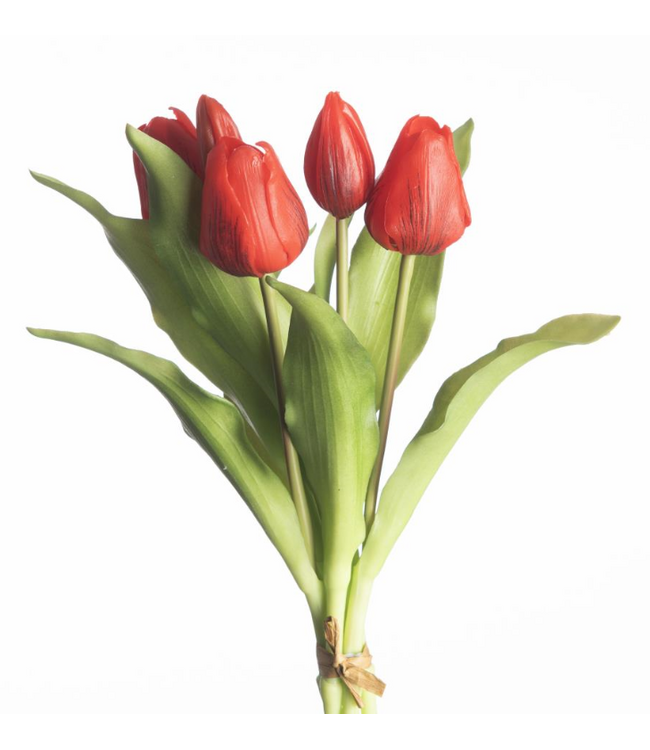 Real Touch Tulip Bundle x5 L31cm Red