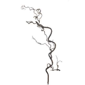 # Vitistak l95cm bruin