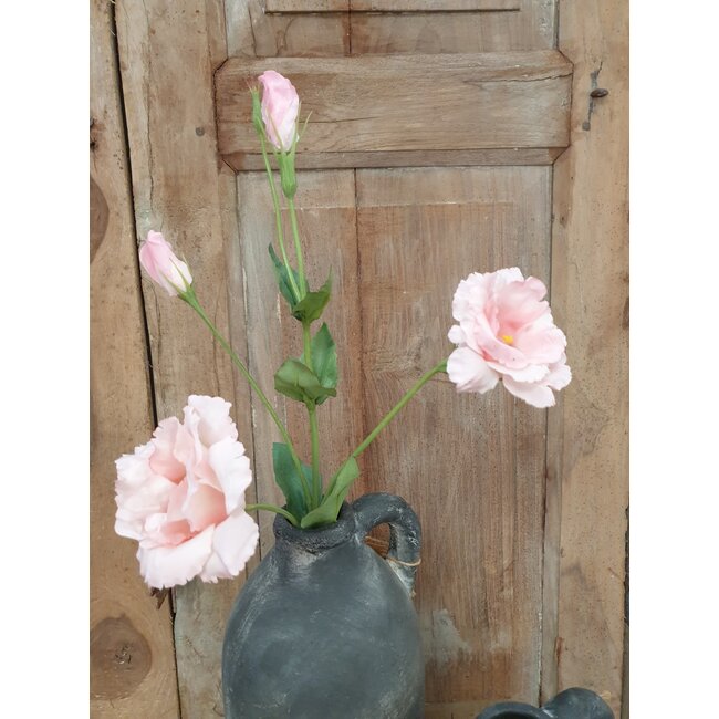 Countryfield # Lisianthus roze-L93,98B13,97H13,97CM