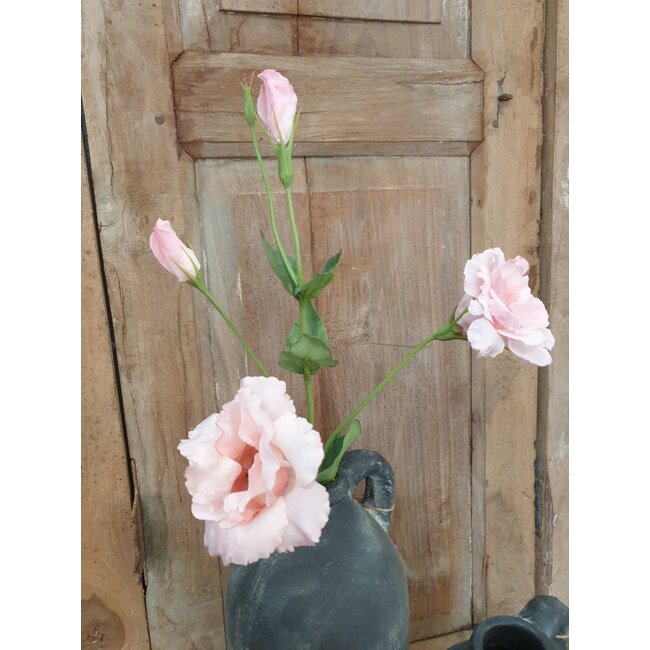 Countryfield # Lisianthus roze-L93,98B13,97H13,97CM