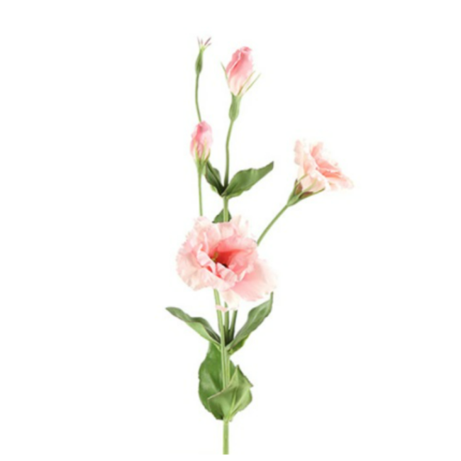 Countryfield # Lisianthus roze-L93,98B13,97H13,97CM