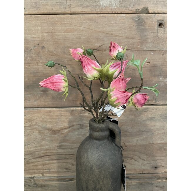 Countryfield ## Hibiscus sabdariffa Hibiscus sabdariffa roze-L5B10H33CMroze-L5B10H33CM
