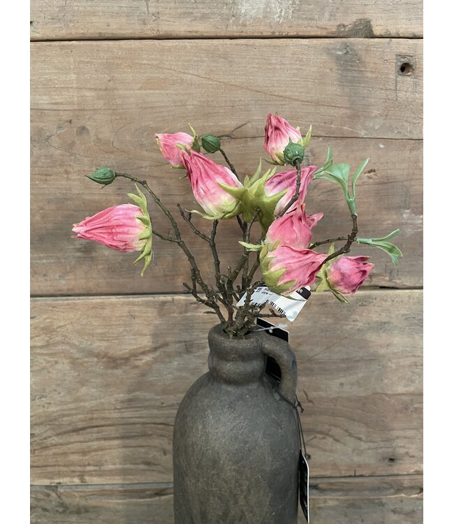Countryfield ### Hibiscus sabdariffa Hibiscus sabdariffa roze-L5B10H33CMroze-L5B10H33CM