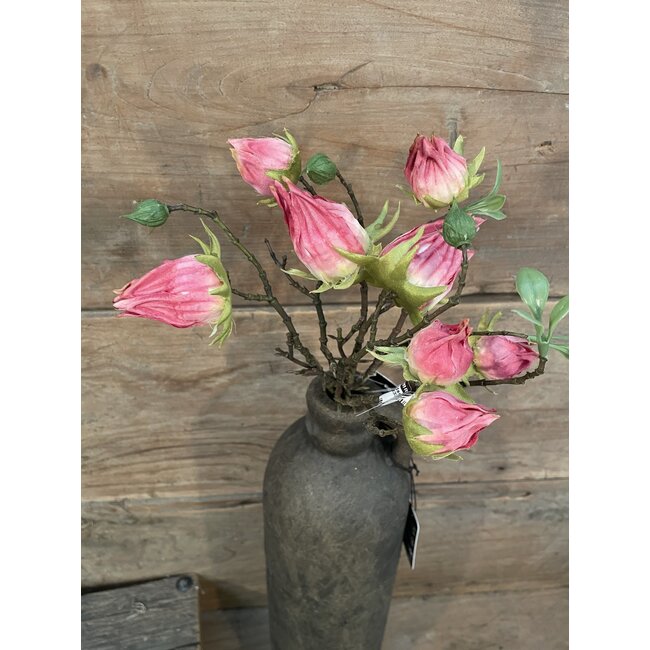 Countryfield ## Hibiscus sabdariffa Hibiscus sabdariffa roze-L5B10H33CMroze-L5B10H33CM