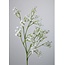## Tak gipskruid - kunst - 64 cm