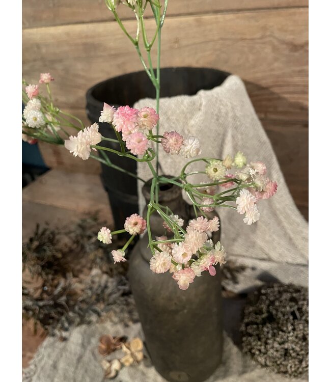 Roze gipskruid 66 cm