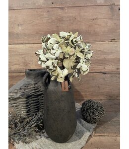 Lichtgroene hortensia 62 cm
