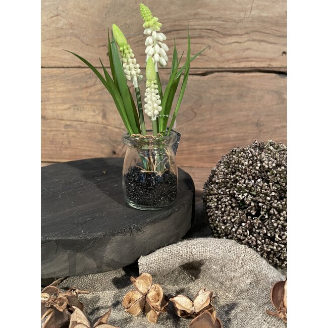 # Witte druifjes in glazen potje "Muscari Desire" 17 cm