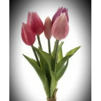 # minitulp esmee 5 stelen coralpink - 25 cm