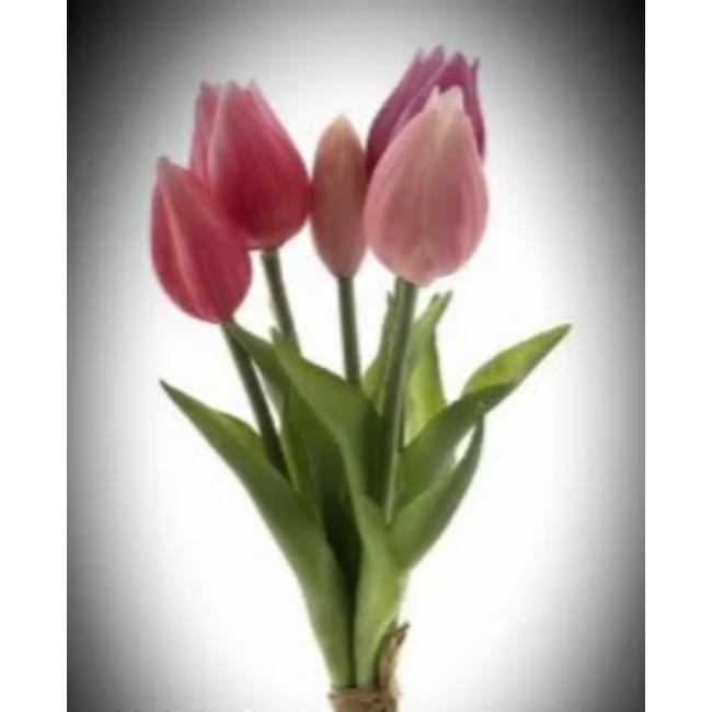# minitulp esmee 5 stelen coralpink - 25 cm