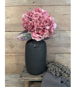 Still 31902 - New Bottle 30 BS - 	l x b x h: ca. 18 x 18 x 28 cm - Black Series