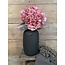 Still 2# 31902 - New Bottle 30 BS - 	l x b x h: ca. 18 x 18 x 28 cm - Black Series