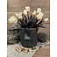 Still # 3249 - Zwarte bloempot "GOG 17" 20 cm