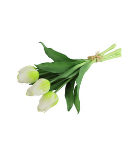 Countryfield # Tulp Boeket Wit - L15 x B15 x H30