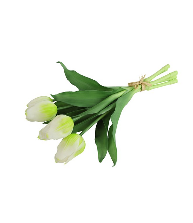 Countryfield # Tulp Boeket Wit - L15 x B15 x H30