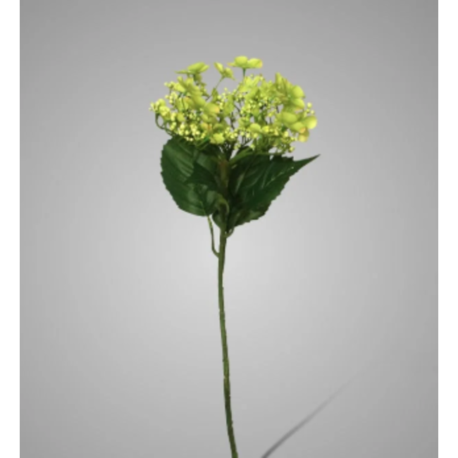 Butterfly Hydrangea Light Green 70 cm