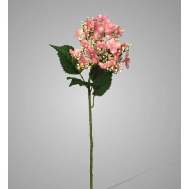 Butterfly Hydrangea Pink 70 cm