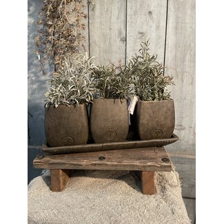 # Set of 3 Planters on Plate Majestic Brown 38x14x14