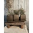 # Set of 3 Planters on Plate Majestic Brown 38x14x14