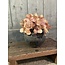# Planter Classic Stone Black D.14 H.10 - kleinste