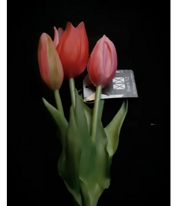 tulip Sarah bright pink - bosje 3 stelen - 25 cm