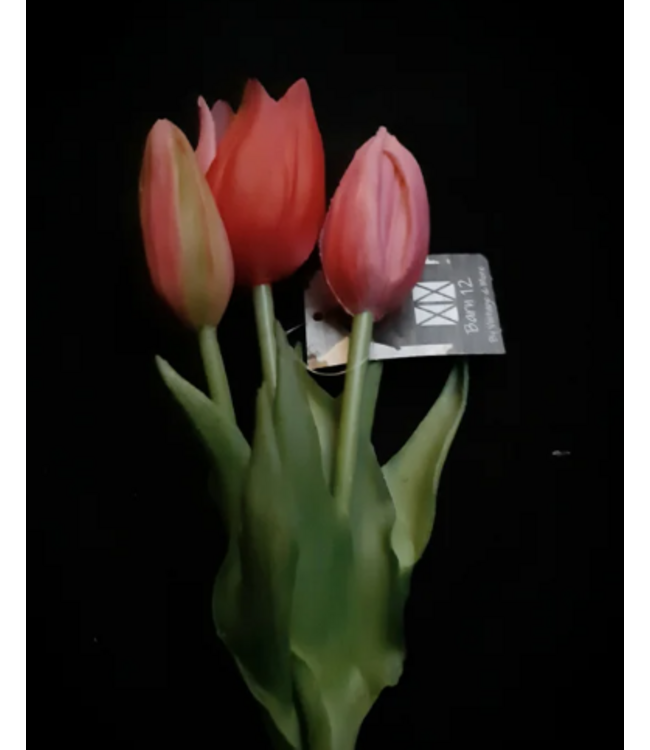 tulip Sarah bright pink - bosje 3 stelen - 25 cm