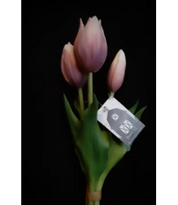 tulip Sarah mauve -  bosje 3 stelen - 25 cm