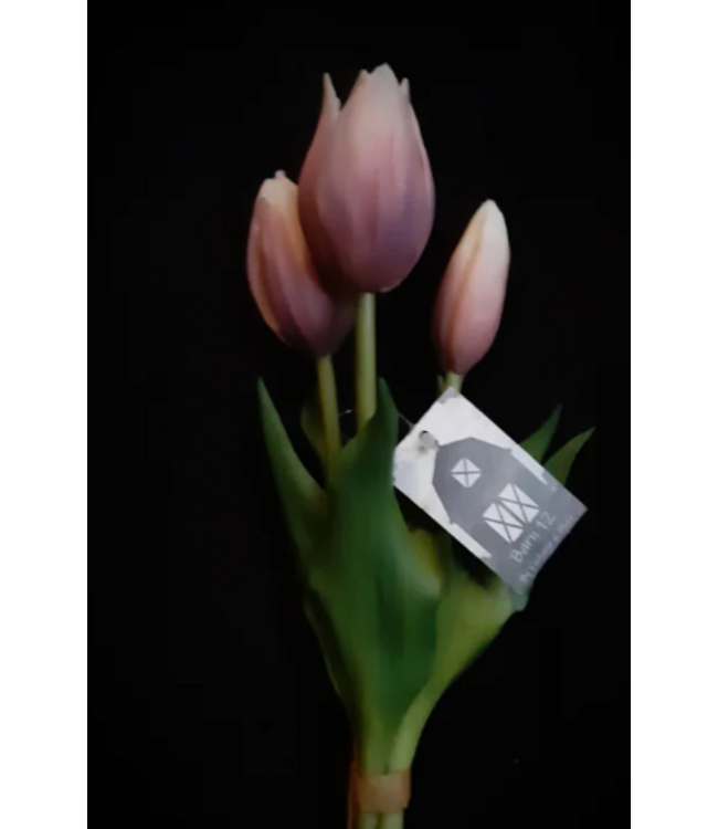 tulip Sarah mauve -  bosje 3 stelen - 25 cm