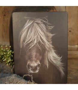 754 - Afbeelding  op hardboard - paard manen - 14 x 19 cm