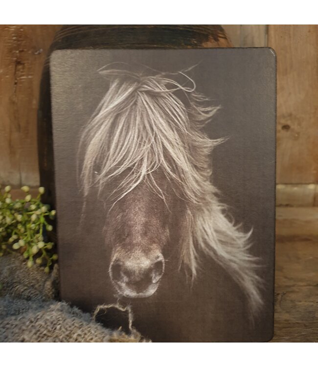 754 - Afbeelding  op hardboard - paard manen - 14 x 19 cm