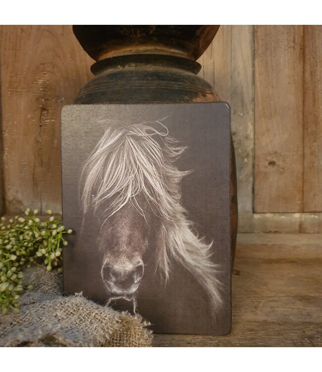 754 - Afbeelding  op hardboard - paard manen - 14 x 19 cm