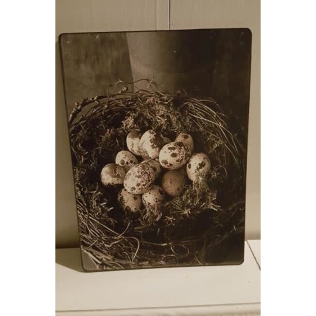 # 742 - Decoratief bordje "Nest met kwarteleieren"