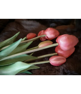 87017 6 tulp classic beauty pink 7 stelen - 47 cm
