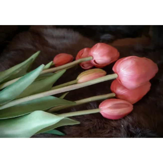 # 87017 6 tulp classic beauty pink 7 stelen - 47 cm