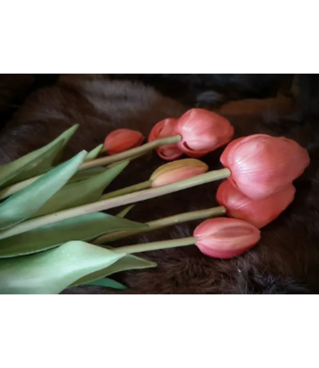 87017 6 tulp classic beauty pink 7 stelen - 47 cm