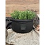 Still 1# 3168 - Zwarte bak - aardewerk  Ca. 34 D x 16 H cm - Black Series