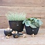 Still 2# 31925 - Mini Oval Line M BS - Ca. 23 B x 12 D x 14 H cm - Black Series