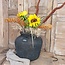 Still # 3218 - Antraciet ronde vaas "GOG" 35 x 31 cm