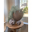 # Planter Grandeur Rustic L D.39 H.35