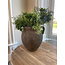 # Jar One Ear Rustic L D.24 H.24