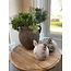 # Jar One Ear Rustic L D.24 H.24