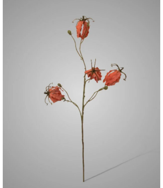 ### Gloriosa Pink 80 cm