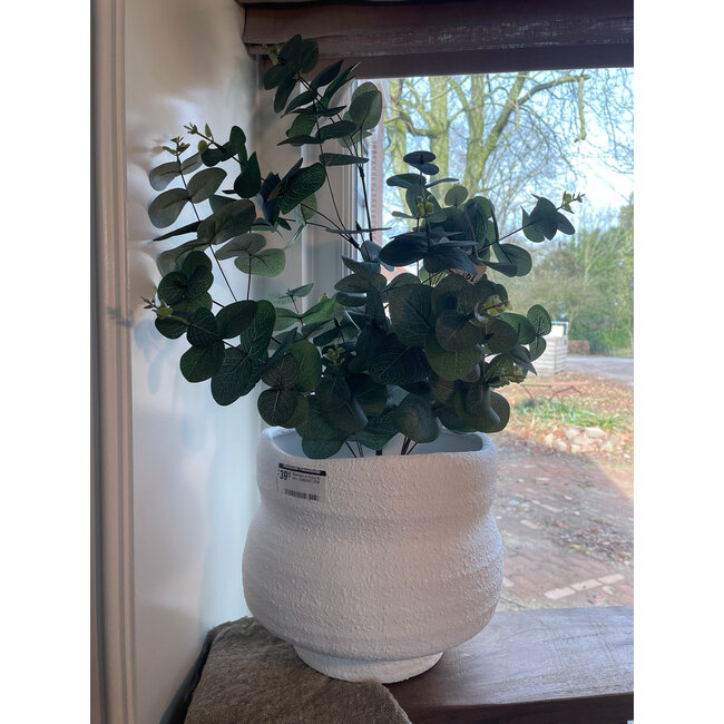 Countryfield Eucalyptus groen-L35B35H65CM