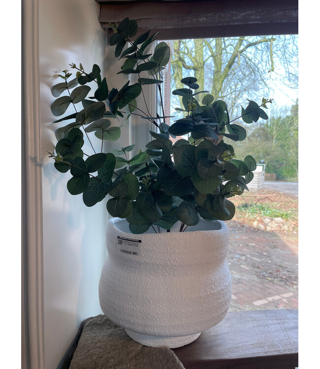 Countryfield Eucalyptus groen-L35B35H65CM