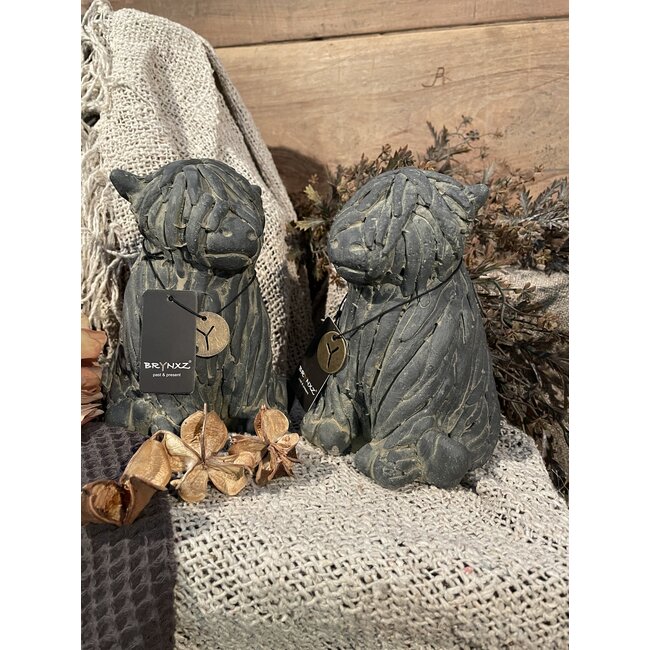 # Grijze zittende schotse hooglander 12 x 16 cm per stuk - majestic vintage