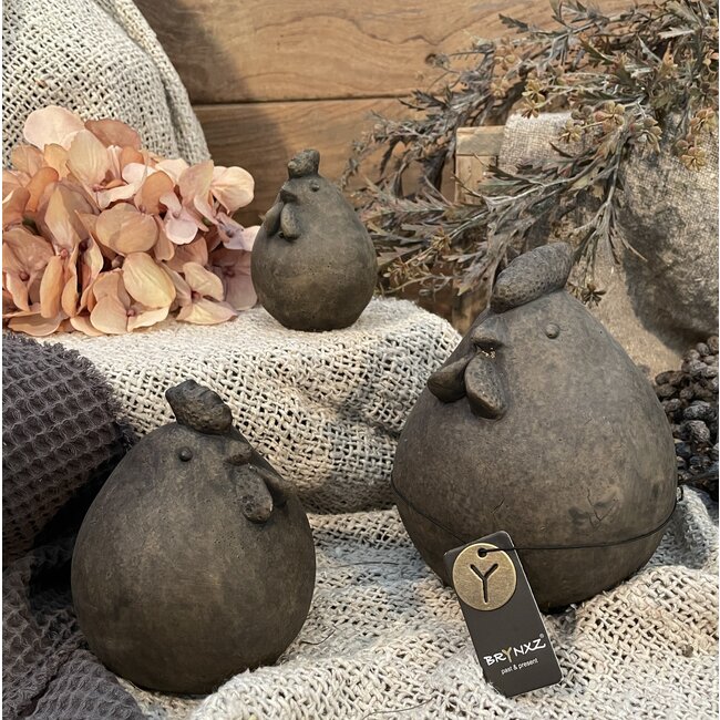 Bruine kip "Best" 15 cm - L - majestic brown