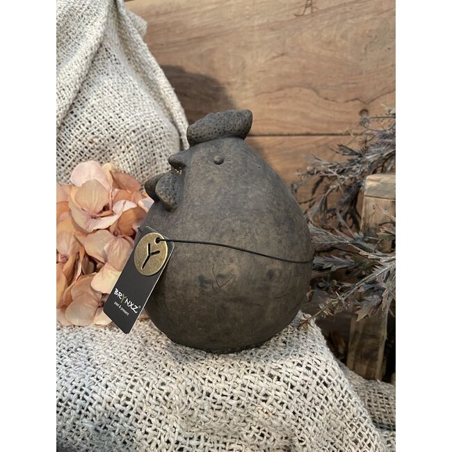 Bruine kip "Best" 15 cm - L - majestic brown