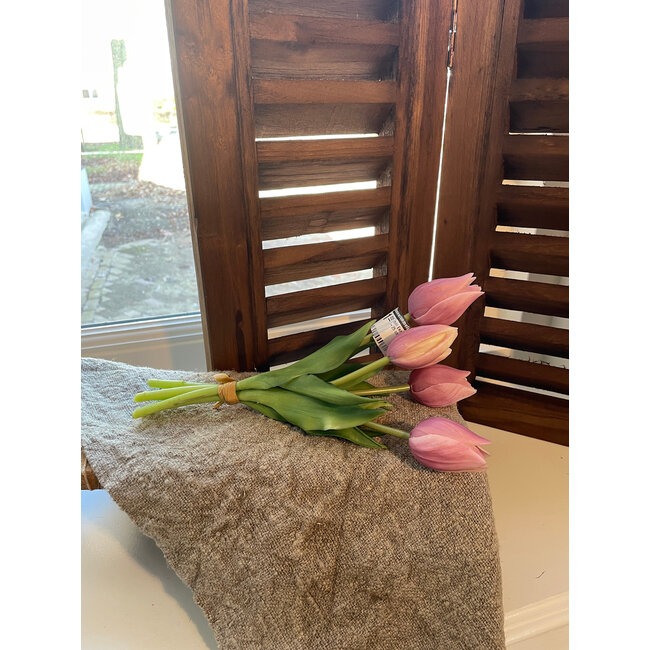 # tulip mini Esmee 5 stelen mauve - 25 cm