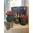 # Planter Basic Majestic Vintage D.18 H.16 - per stuk - tweede